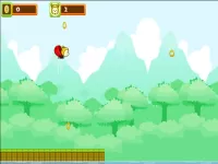 Acorn Flight image
