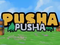 Pusha Pusha image