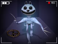 Anomaly Content Record image