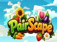 PairScape image