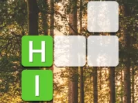 Word Blocks image