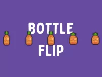 BottleFlip image