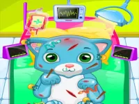 ASMR Cat Doctor Clinic